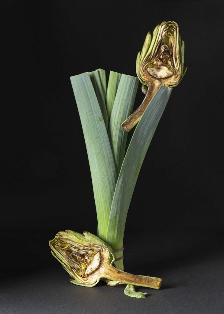 Imagen de Escuela de Fotografía Creativa Aleshkina