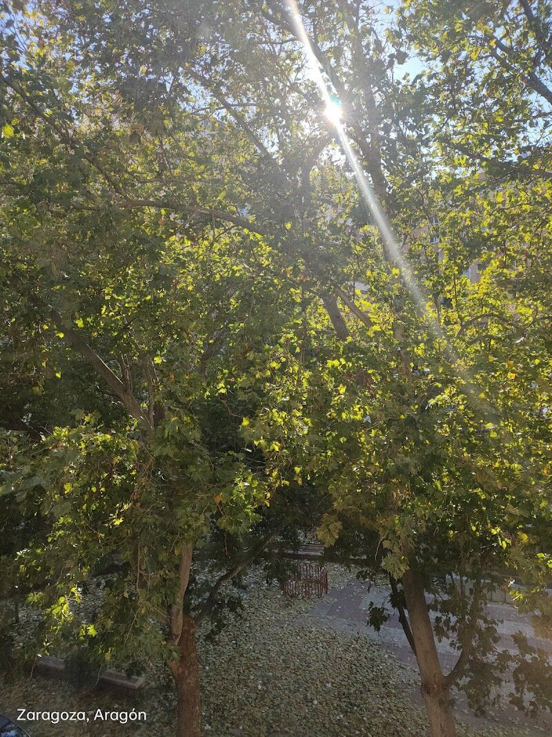 Imagen representativa de la localización