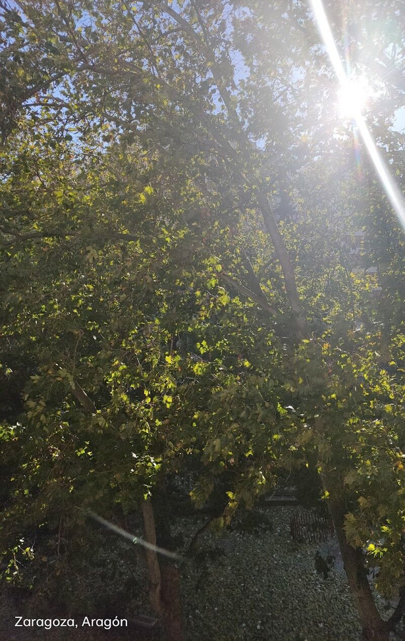 Imagen representativa de la localización