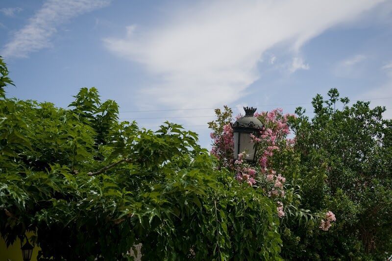 Imagen de Estefanía Abad