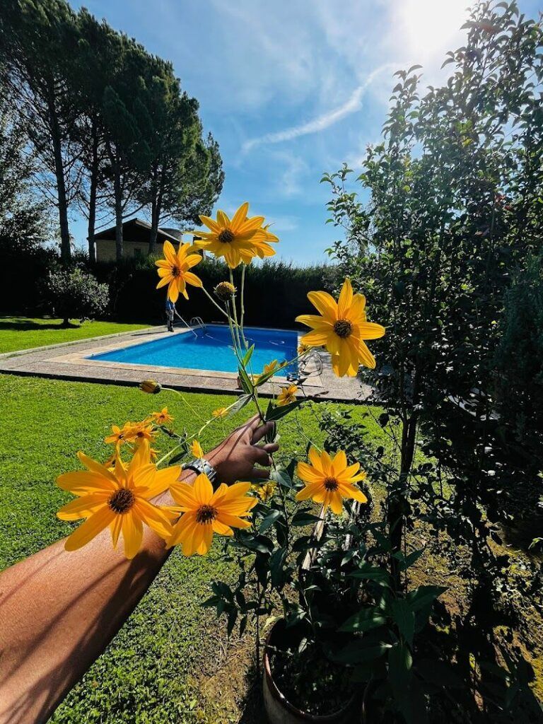 Imagen de Jardinería León