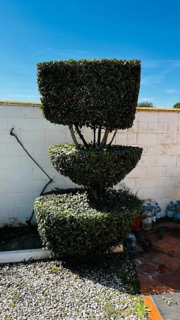 Imagen de Jardinería León