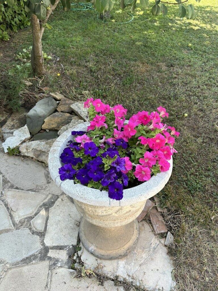 Imagen de Jardinería León