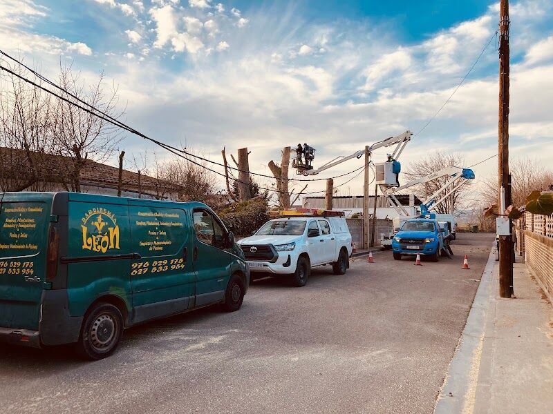 Imagen de Jardinería León