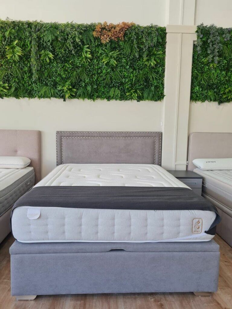 Imagen de Activanatur