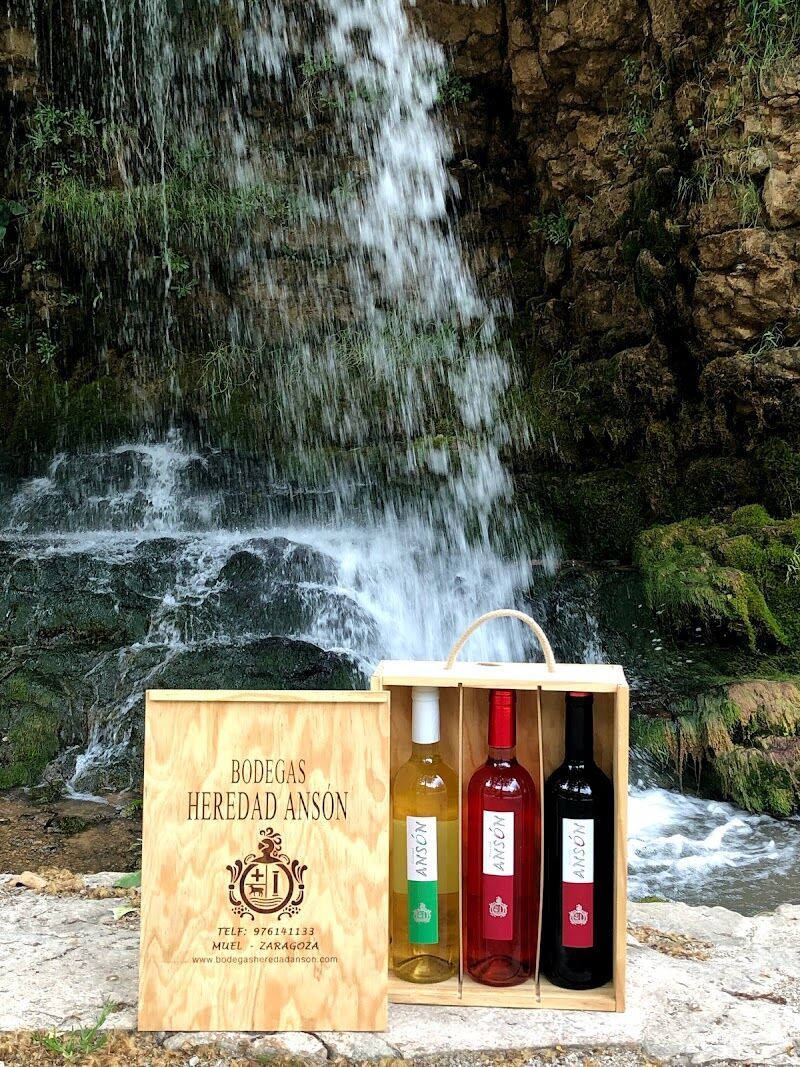 Imagen de negocio en Bodega en Muel