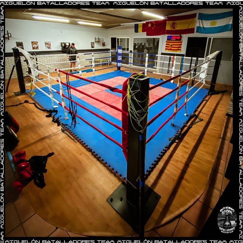 Imagen de Batalladores Miguelón Team