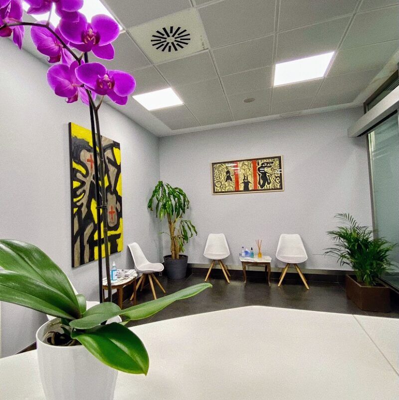 Imagen de Notaría Romareda – Tomás García Cano