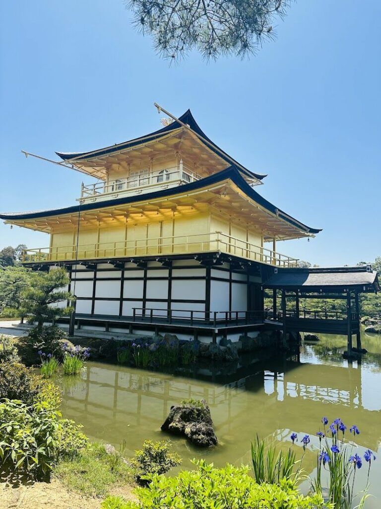 Imagen de Imagin Travel