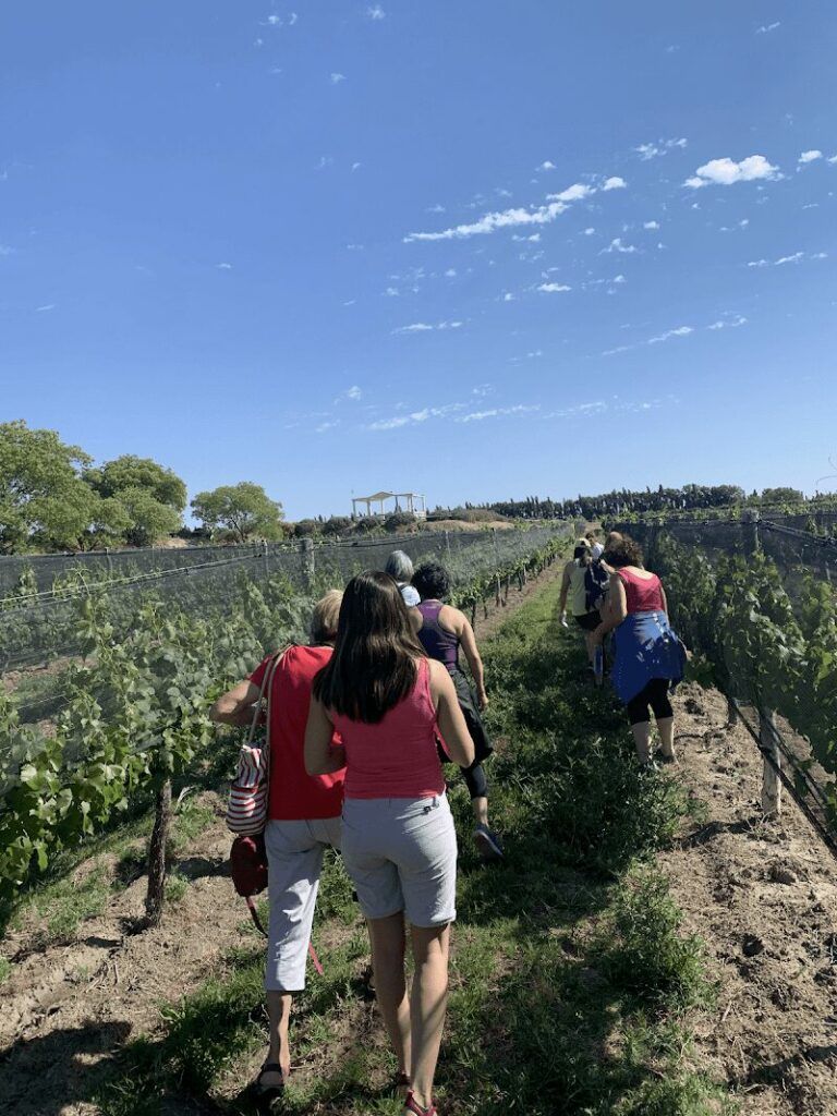 Imagen de Ristour Travel | Language & Cultural Immersion Trips – Women & Youth