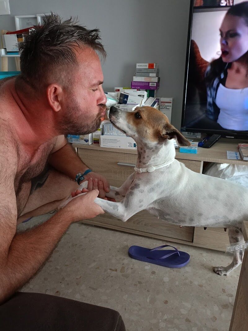 Imagen de Popeye Educación Canina