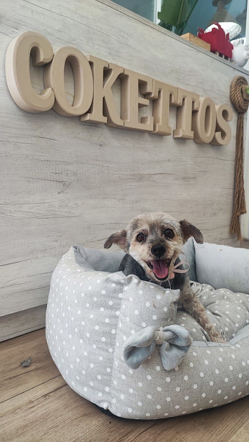 Imagen de negocio en Estética animal en Provincia de Cádiz