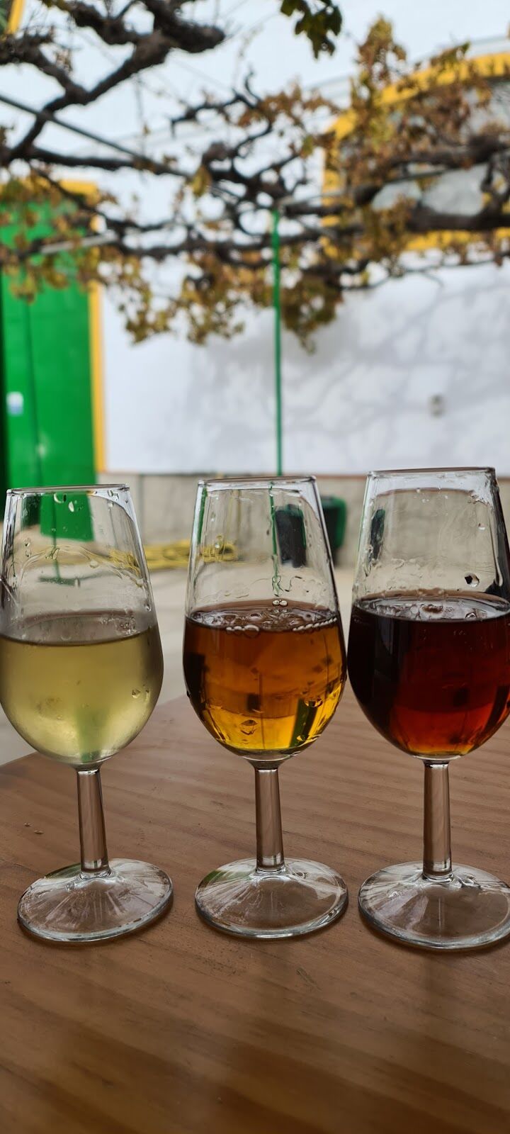 Imagen de negocio en Gastronomía y alimentación en Jerez de la Frontera