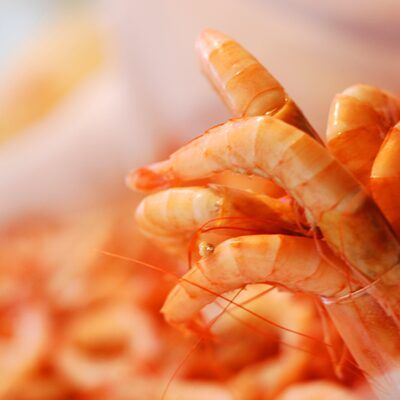 Imagen de Catering Canti en Rota – Cádiz