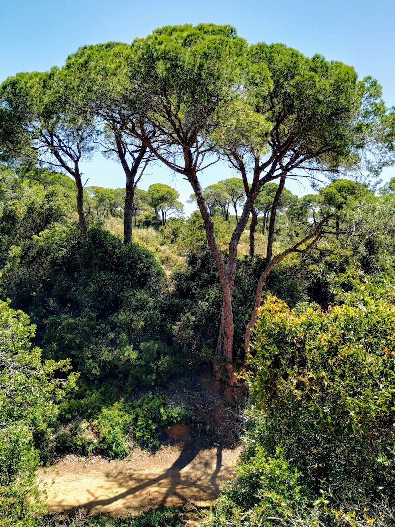 Imagen representativa de la localización