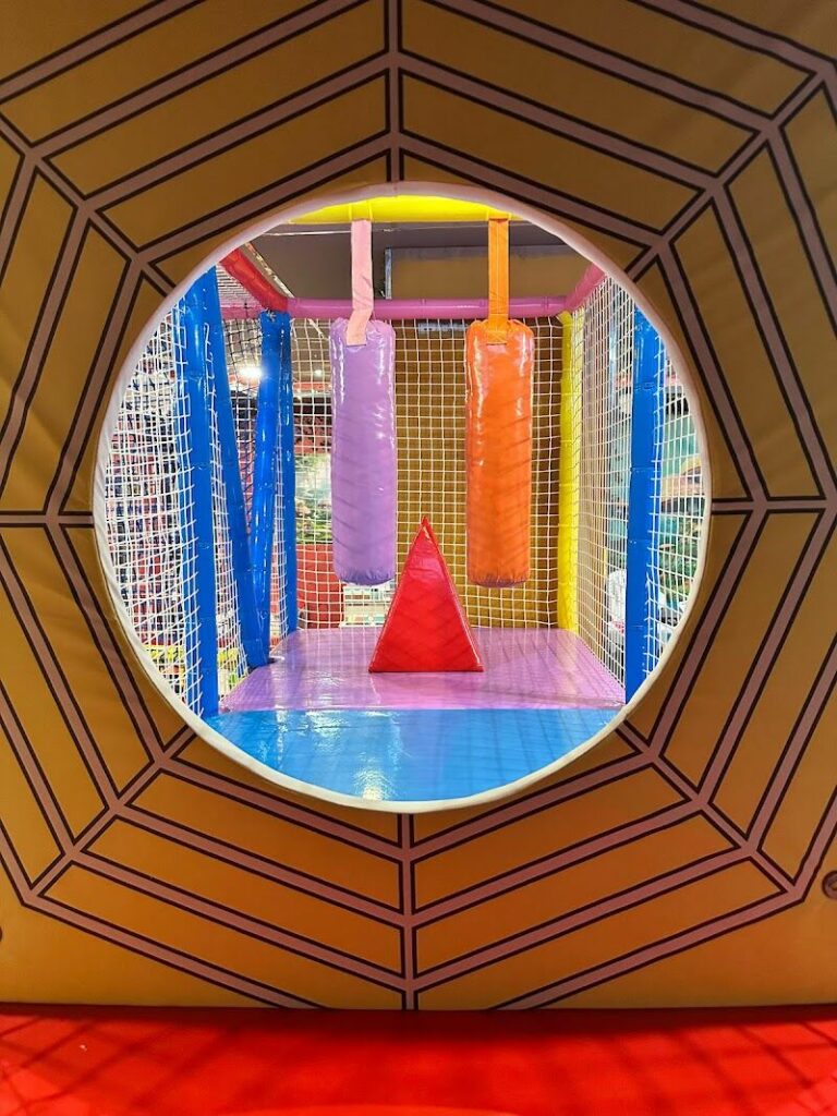 Imagen de Wonderland Cádiz