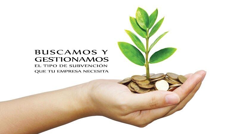 Imagen de Mbv Calidad