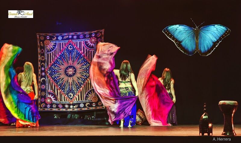 Imagen de Danza Oriental Carmen Amal