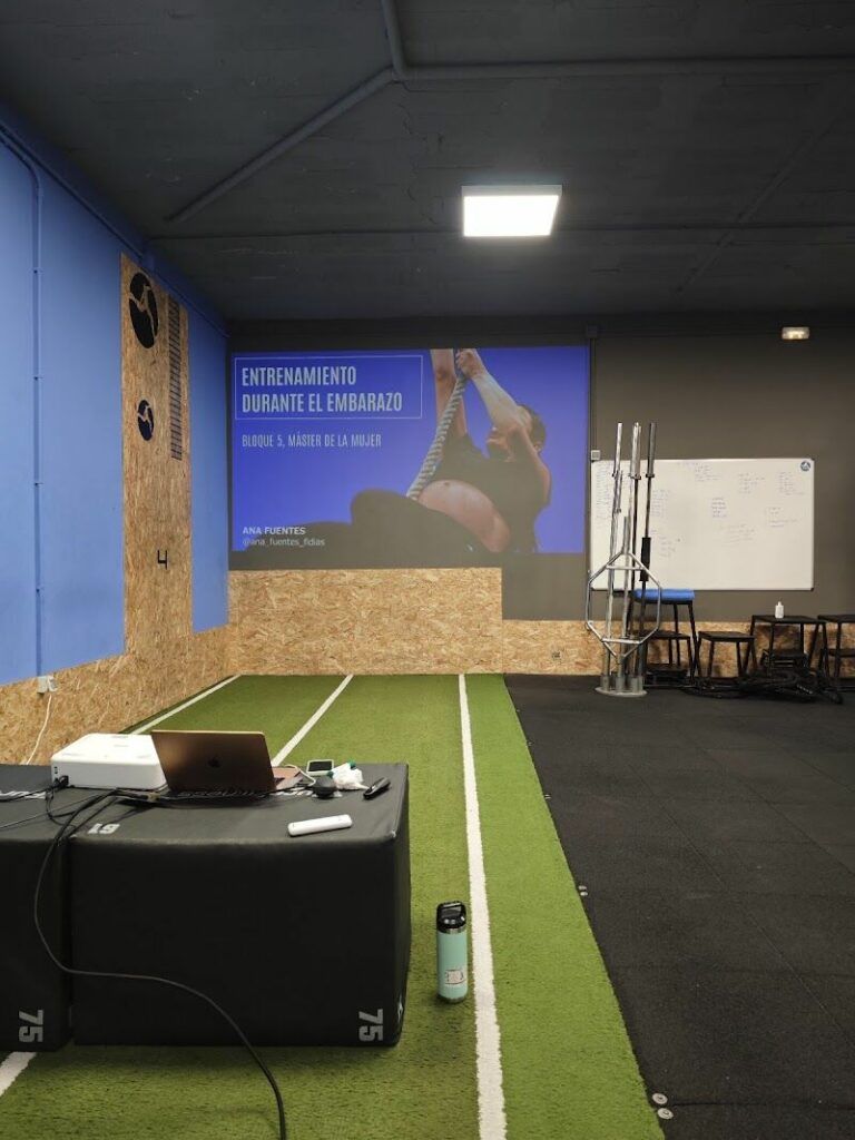 Imagen de Fidias Formación