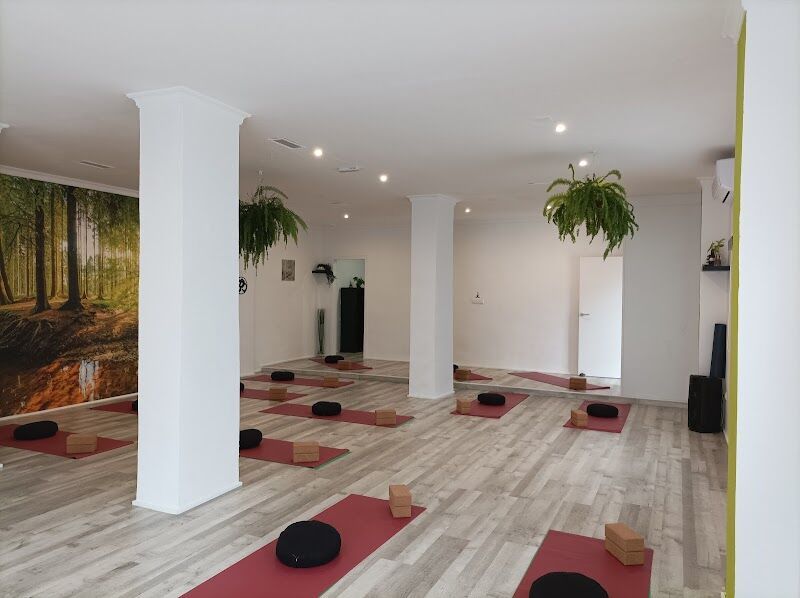 Imagen de El Sendero del Yoga