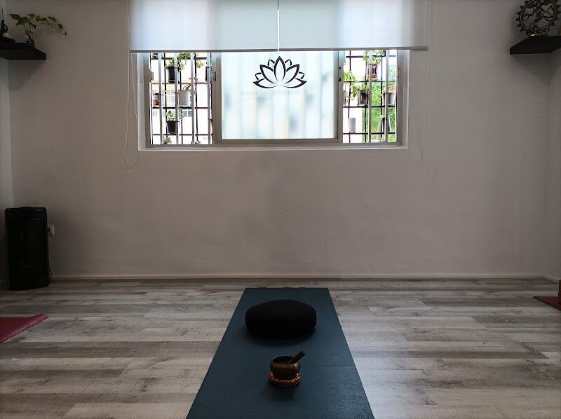 Imagen de El Sendero del Yoga