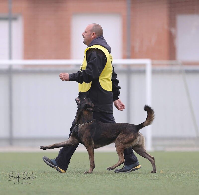 Imagen de negocio en Guardería para mascotas en Provincia de Cádiz