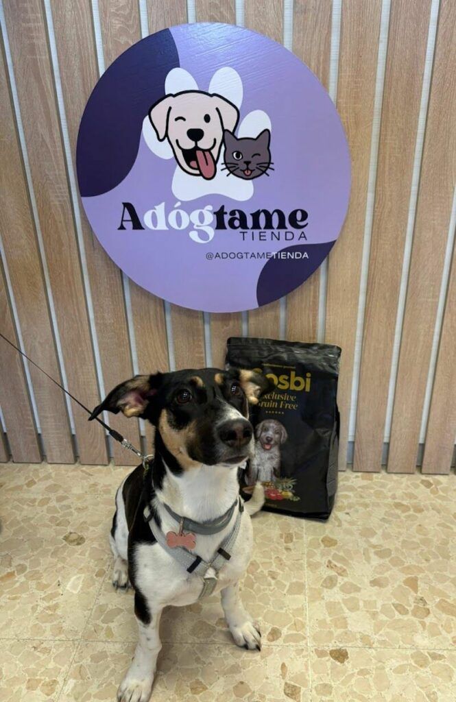 Imagen de Adógtame Tienda de Mascotas