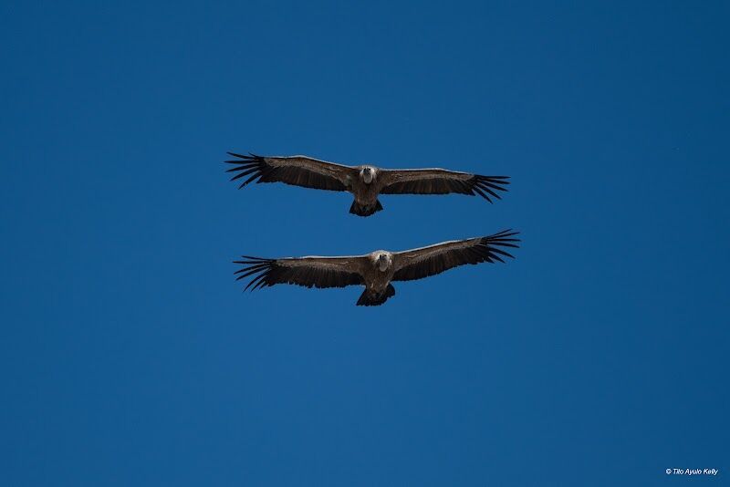 Imagen representativa de la localización