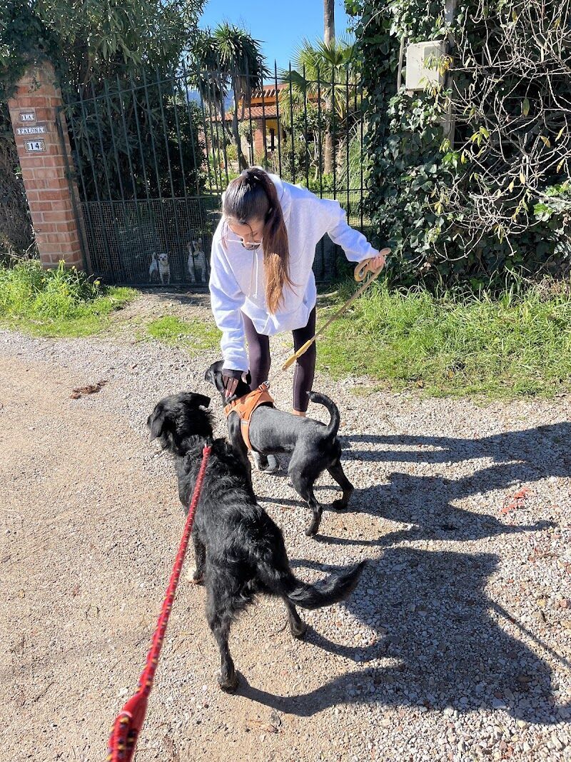 Imagen de negocio en Refugio de animales en Provincia de Cádiz
