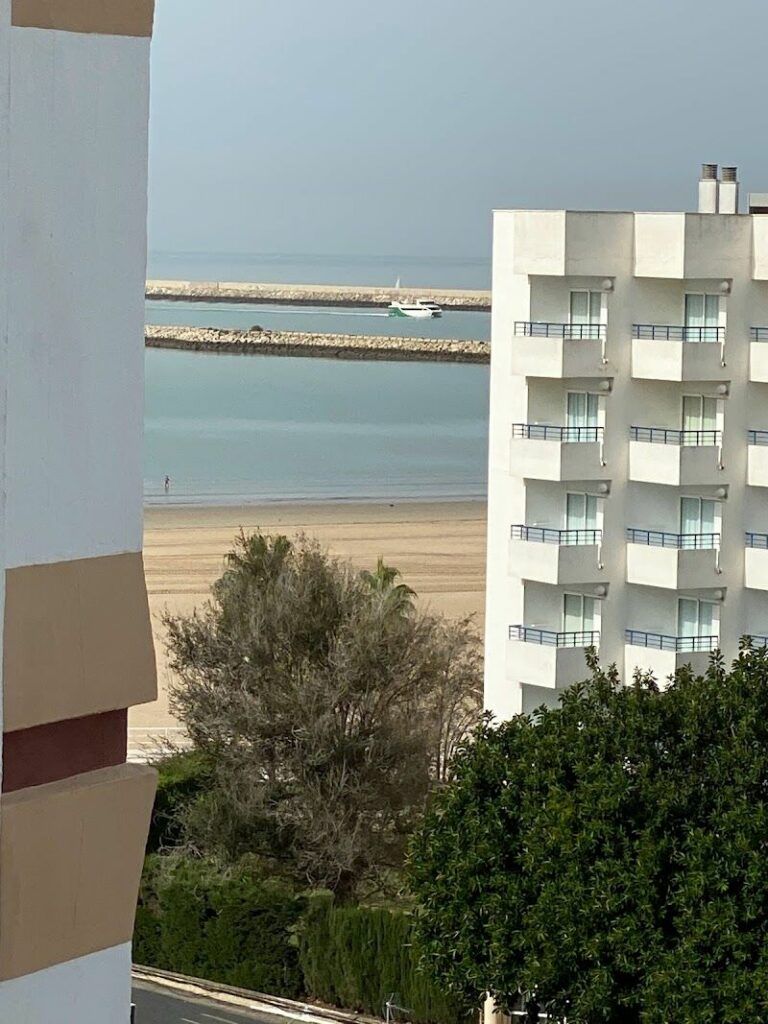 Imagen de Psicologo Carmen Hidalgo Vinuesa