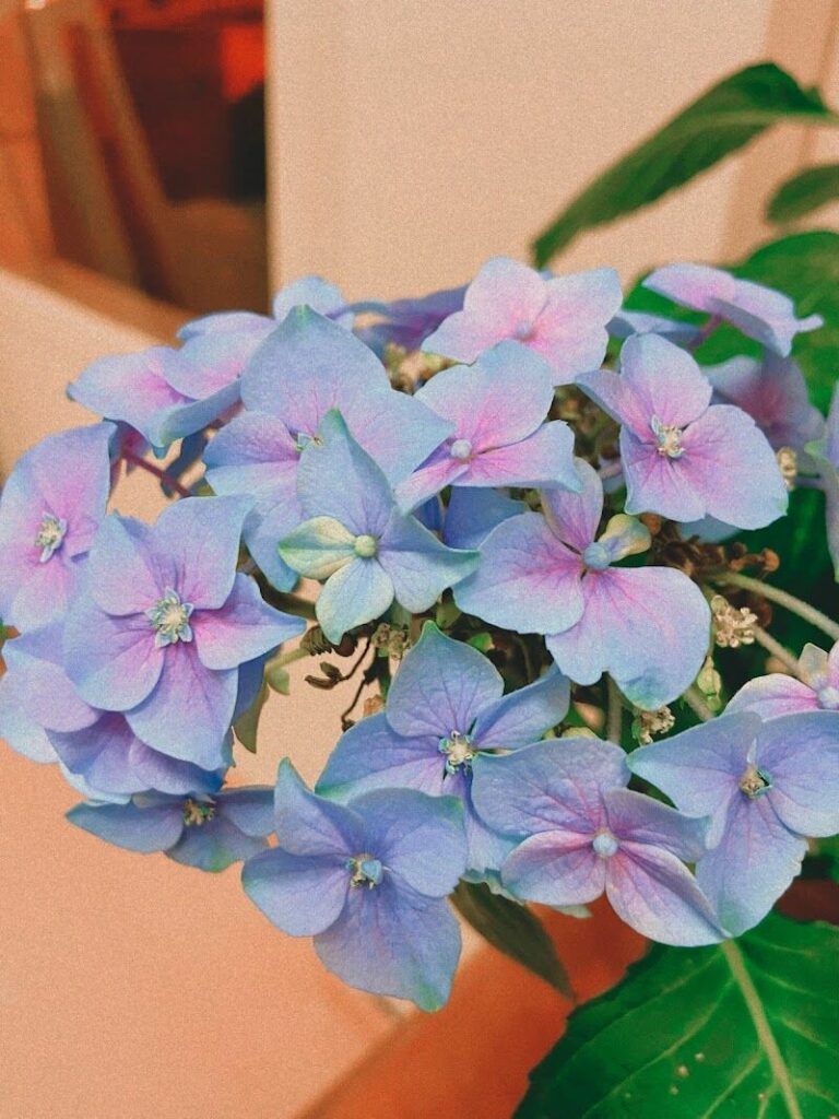 Imagen de Academia de Pintura y Dibujo Ensimisma