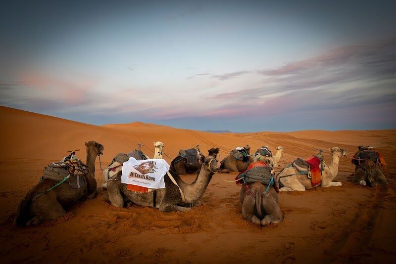 Imagen de Mitravelbook