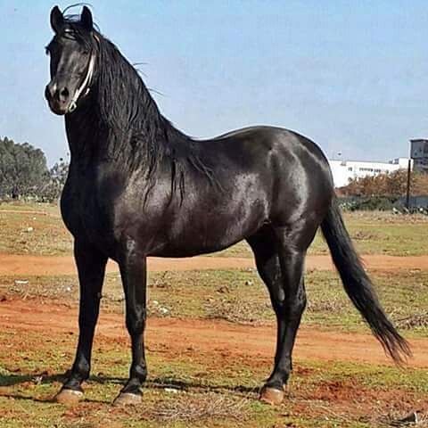 Imagen de Ceip el Faro