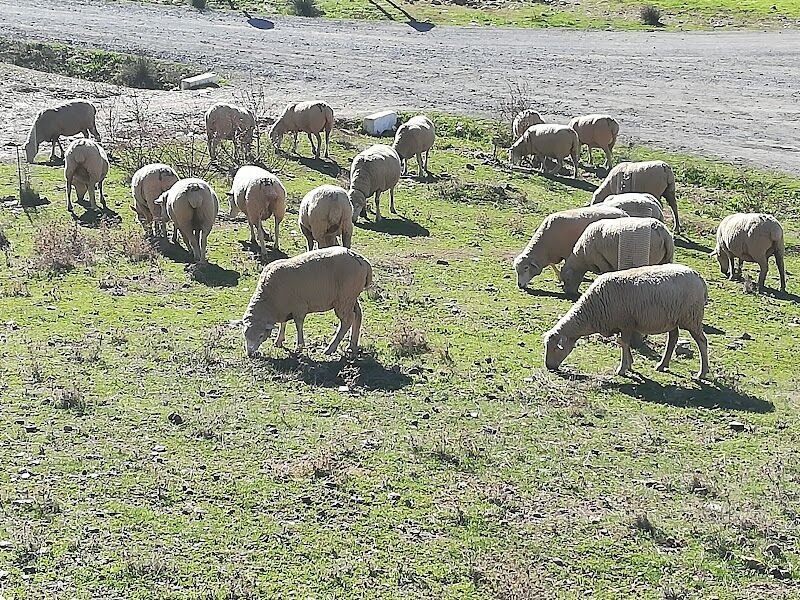 Imagen representativa de la localización