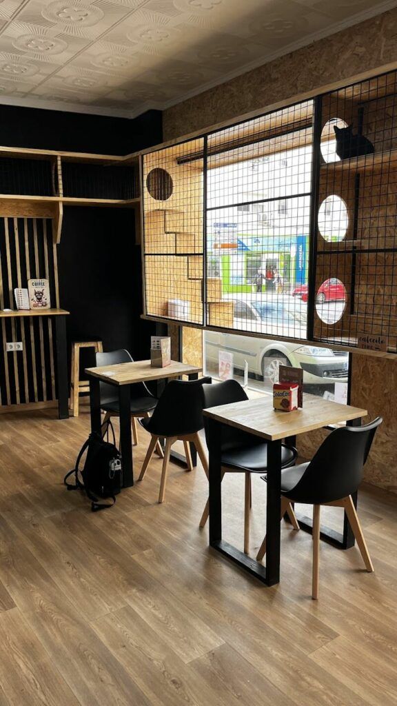 Imagen de Zoonia | Tienda de Animales y Coffe Cat en Huelva