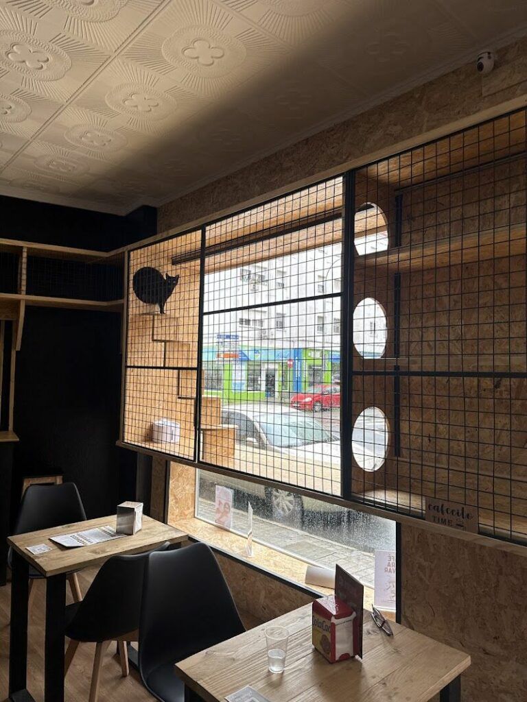 Imagen de Zoonia | Tienda de Animales y Coffe Cat en Huelva