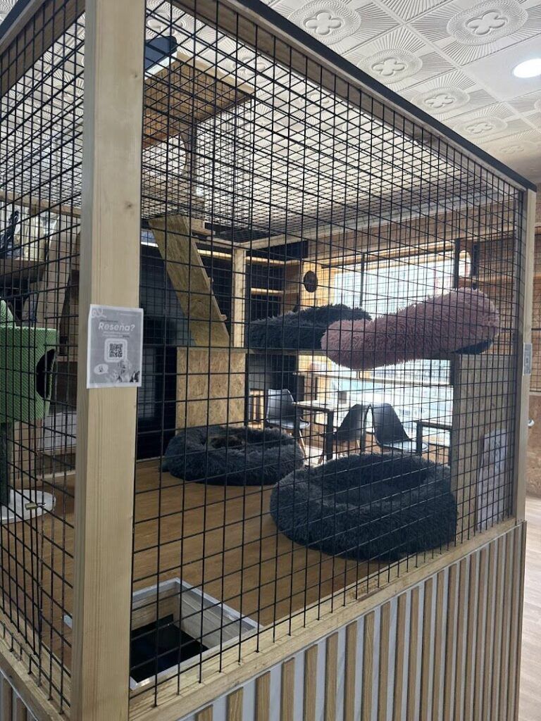 Imagen de Zoonia | Tienda de Animales y Coffe Cat en Huelva