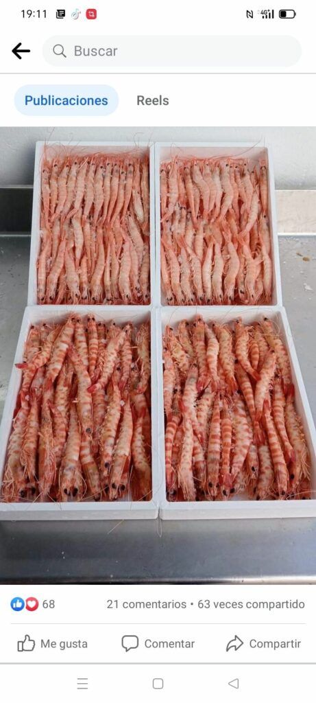 Imagen de Cocedero de Mariscos el Tali