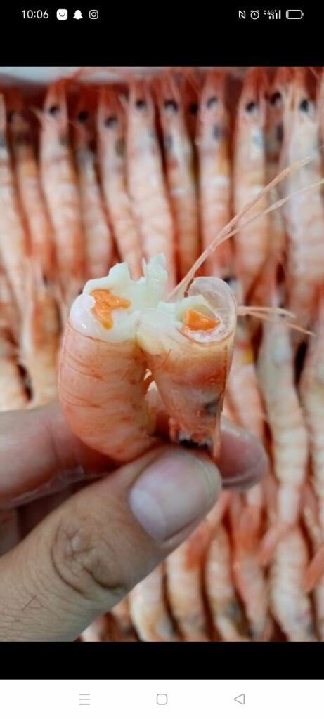 Imagen de Cocedero de Mariscos el Tali