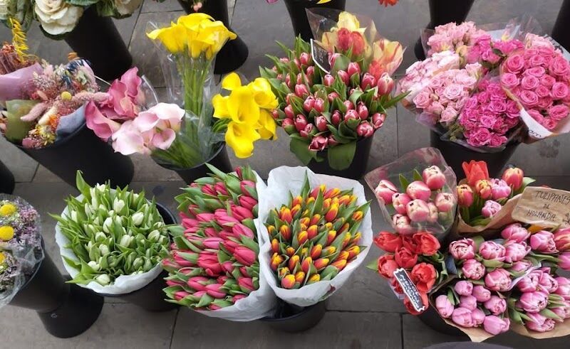 Imagen de negocio en Floristería en Huelva