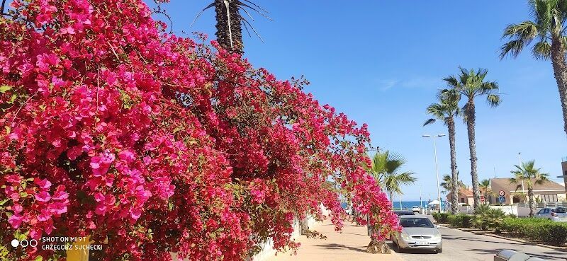 Imagen representativa de la localización