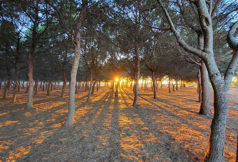 Imagen representativa de la localización