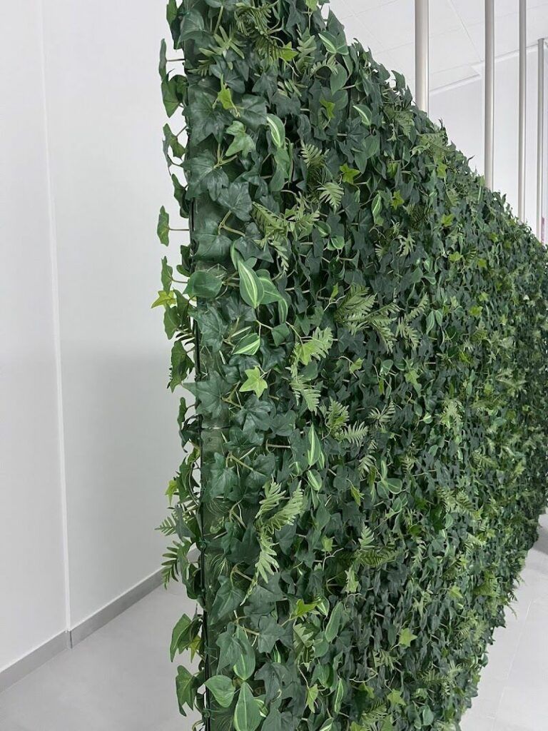 Imagen de La Magia de Jugar