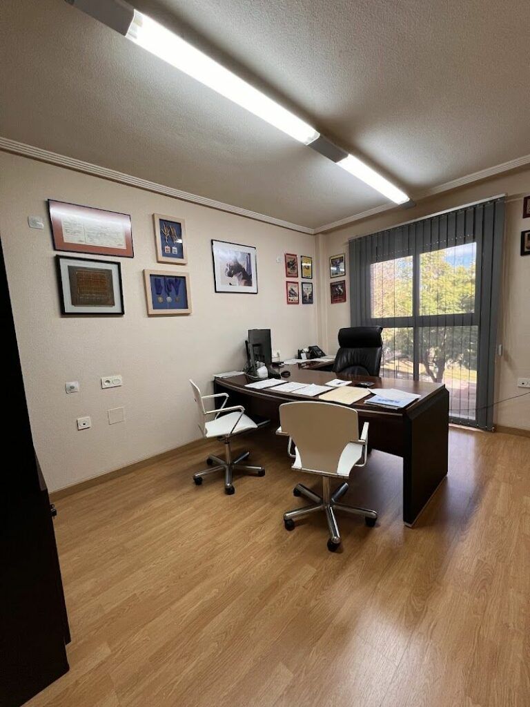 Imagen de Mag Consultoría Gabinete de Servicios Slp