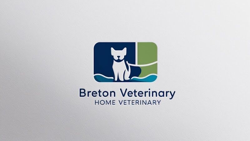 Imagen de Jorge Bretón Veterinario a Domicilio