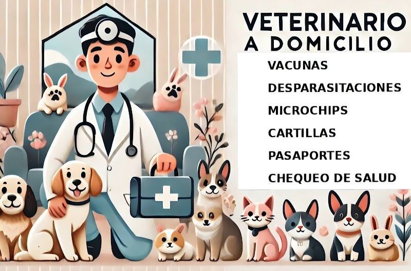 Imagen de Jorge Bretón Veterinario a Domicilio