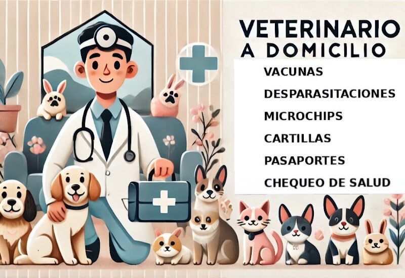 Imagen de Jorge Bretón Veterinario a Domicilio