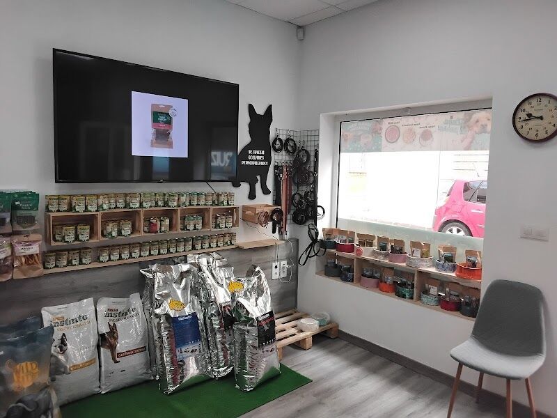 Imagen de Dieta-comida Barf | Suplementos Naturales | Lo Mejor para Tu Perro