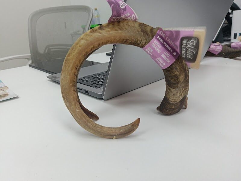 Imagen de Dieta-comida Barf | Suplementos Naturales | Lo Mejor para Tu Perro