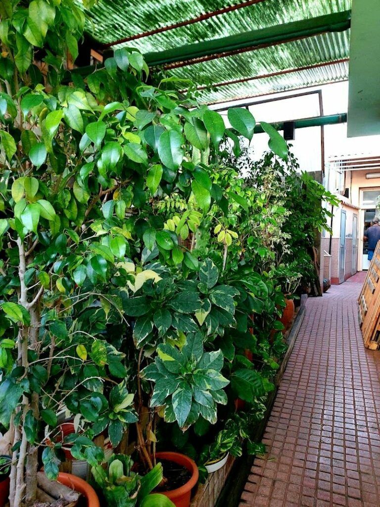 Imagen de Panificadora el Puente